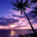 Sunset Beach Wallpapers icon