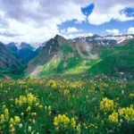 Дуоҳои муборак(китоб) icon