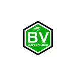 Berau Vision icon