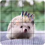 Jigsaw Tile Pets icon