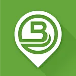 Biciway icon