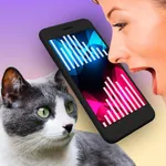 Cat Translator Pet Talk Meow icon