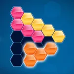 Hexa Shape Puzzle icon