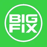Bigfix Servicer icon