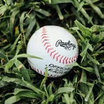 Baseball Wallpaper icon