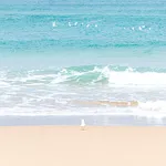 Beach Wallpaper icon