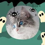 Halloween Photo Frame icon