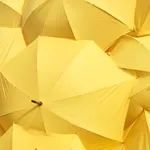 Yellow Color Wallpaper icon