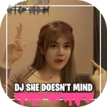 DJ She Doesn't Mind icon