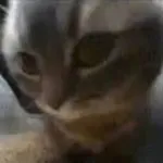 Chibi-Chaba on The Watch icon