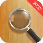 Magnifying Glass icon