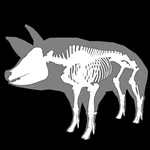 3D Pig Anatomy icon