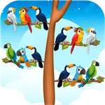 Bird Sort Color Match Games icon