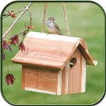 Bird House Ideas icon