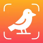 Birdium: Bird Identifier icon
