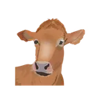 My Cattle Manager - Farm app icon