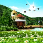Summer Wallpaper icon