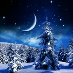 Winter Night Wallpaper icon