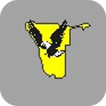 Oshana Security icon