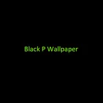 BlackPink Wallpaper HD icon
