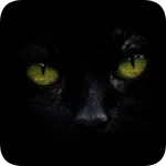 4K Black Wallpaper icon