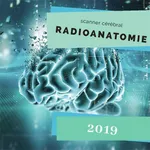 radio-anatomiescanner cérébra icon