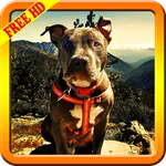 Pitbull Wallpapers icon