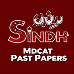 Sindh MDCAT Past Papers icon