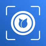 BlueCats Loop Mobile icon
