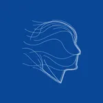 Bluenumber PMA icon