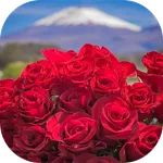 Beautiful flowers pictures icon