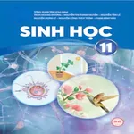 Sinh Học Lớp11 icon