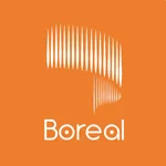 Boreal Valor Comercial icon