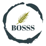 BOSSS Cash & Carry icon