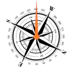 Compass GPS point icon