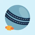 Box Cricket icon