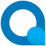 InfoAssessor icon