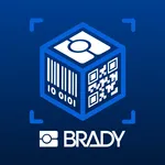 BradyScan icon