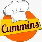 Cummins Garçom icon