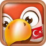 Learn Turkish Phrases icon