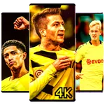 Borussia dortmund wallpaper icon