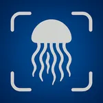 Jellyfish Identifier icon