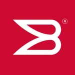 BROCADE SANwise icon