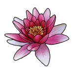 The Santosha Studio icon