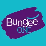 BungeeOne Studios icon