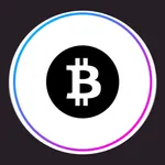 BTCIN WALLET icon
