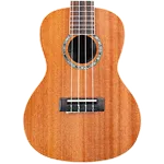 My Ukulele - Solo & Chords icon