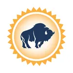 Buffalo Federal Bank icon