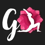 GO Pilates by Gülşah ÖZER icon