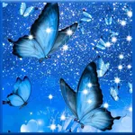 Butterfly Wallpaper icon